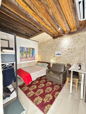 Charles V Flat Ground Floor